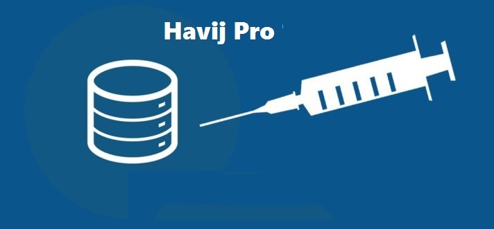 Havij 1.17 Pro Cracked + License File Full Version