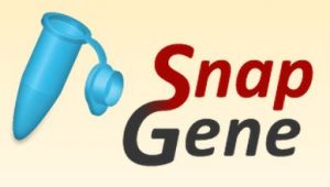SnapGene 5.2.4 Crack With (100% Working) License Key 